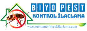 Menemen Böcek İlaçlama