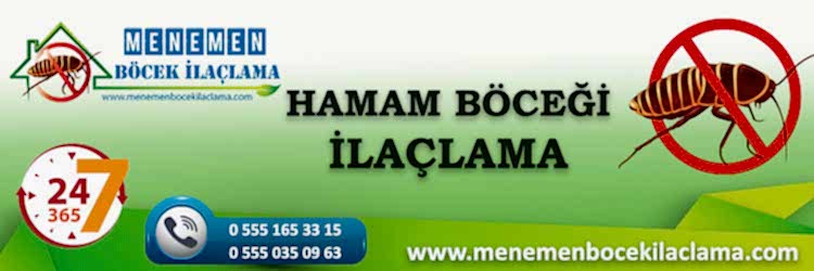 Hamam Böceği İlaçlama