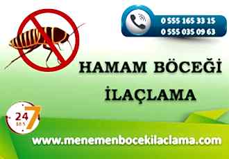 Hamam Böceği İlaçlama