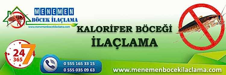 Kalorifer Böceği İlaçlama