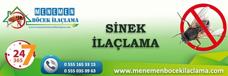 Sinek İlaçlama