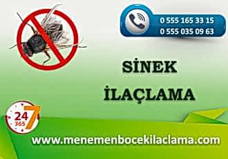 Sinek İlaçlama