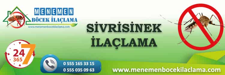 Sivrisinek İlaçlama