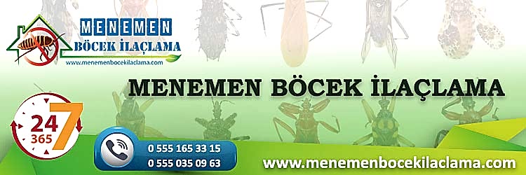 Menemen Böcek İlaçlama