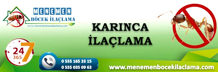 Karınca İlaçlama