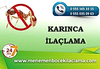 Karınca İlaçlama