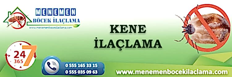 Kene İlaçlama