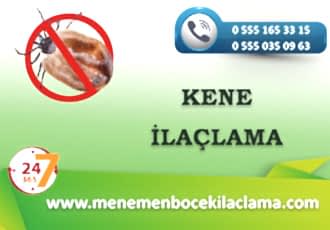 Kene İlaçlama