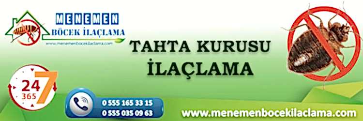 Tahta Kurusu İlaçlama