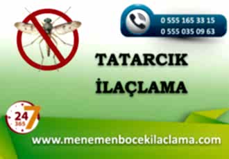 Tatarcık Böceği