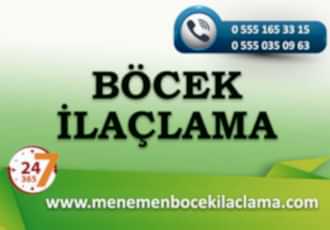 Böcek İlaçlama
