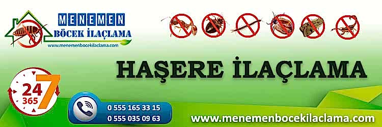 Haşere İlaçlama