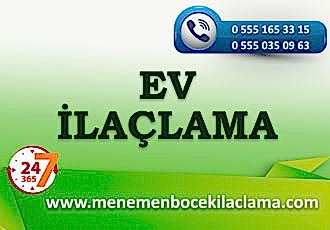 Ev İlaçlama